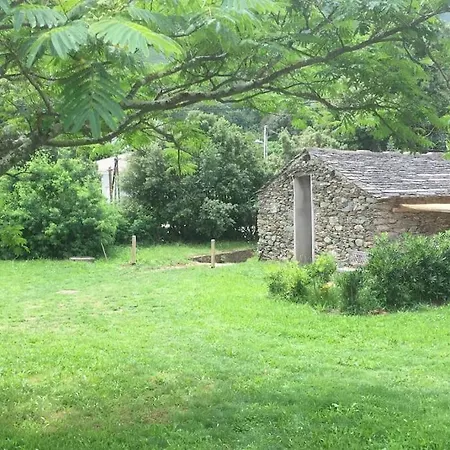 Olivetu *