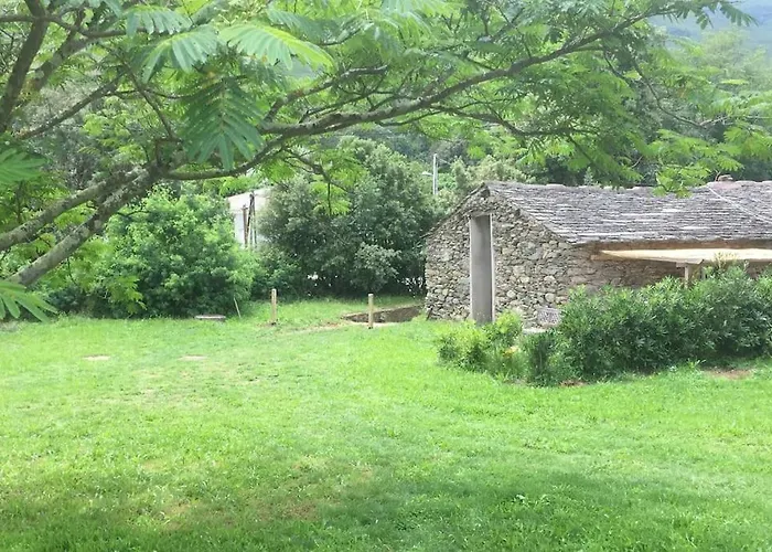 Olivetu *